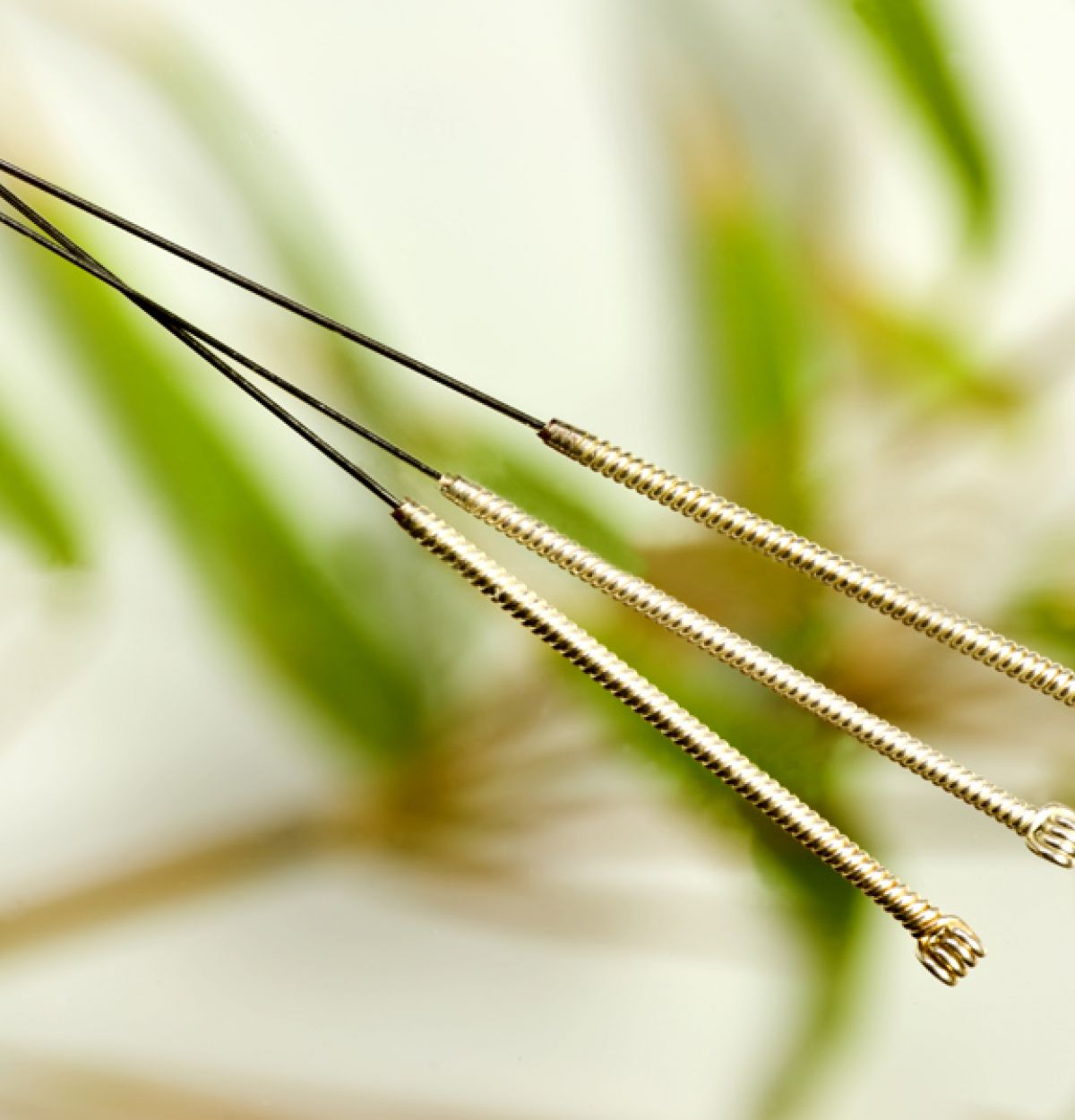 SinoQi TCM Zürich - Akupunktur 2