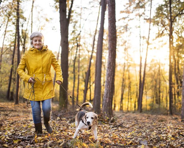 SinoQi TCM Zürich - Über TCM und Ihre Kosten 2